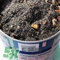 核桃粉怎么做？核桃粉的功效與作用