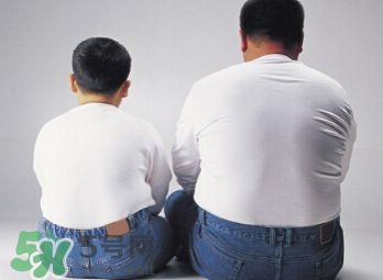 熬夜會長胖的原因  長胖是因為熬夜嗎？