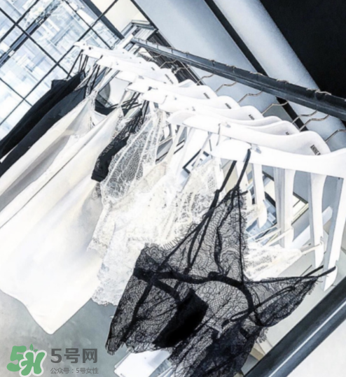 anine bing是什么牌子？anine bing是什么檔次？