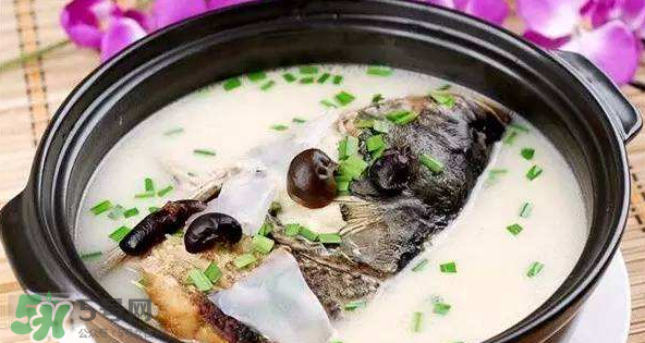 怎樣吃魚最有營養(yǎng)？喝魚湯會(huì)致高脂血癥嗎？