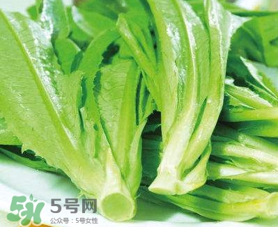 萵苣葉能吃嗎？萵苣葉和油麥菜有什么區(qū)別