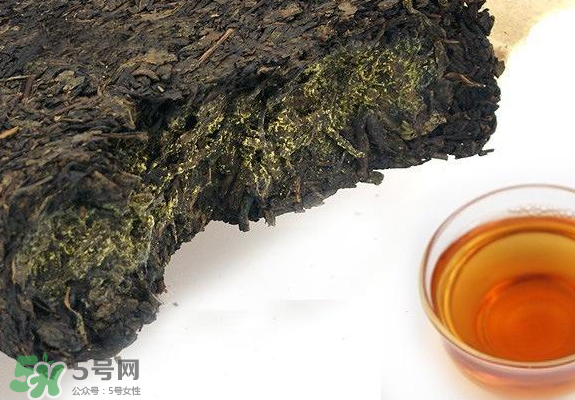 茯茶是熱性還是涼性？茯茶是不是放越久越好？