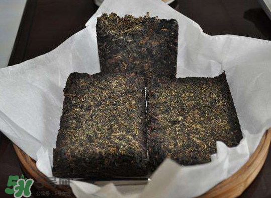 茯茶是熱性還是涼性？茯茶是不是放越久越好？