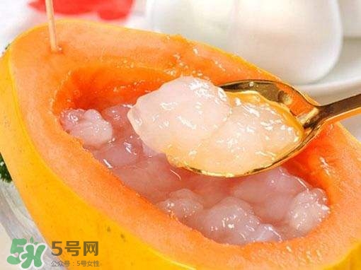 如何分辨雪蛤真假？挑雪蛤的方法