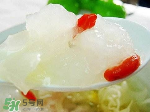 雪蛤膏是啥？雪蛤膏的功效與作用