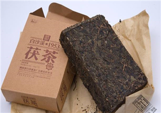 茯茶是什么茶？茯茶是黑茶嗎？