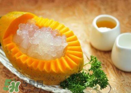 雪蛤膏是啥？雪蛤膏的功效與作用