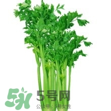 醋泡洋蔥能降血壓嗎？哪些食物可以降血壓？