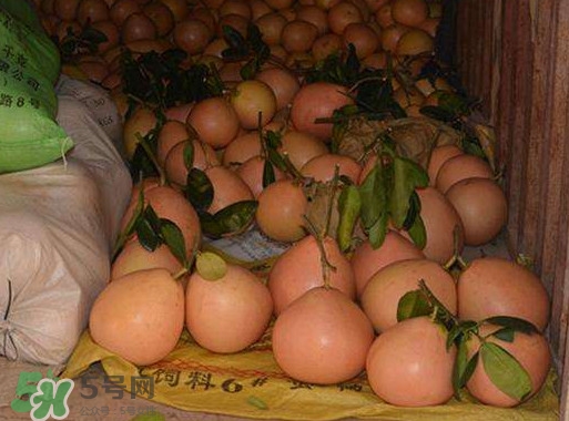 三紅蜜柚什么時候種植？三紅蜜柚什么時候成熟