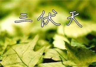 為什么三伏天最熱？如何過好三伏天？