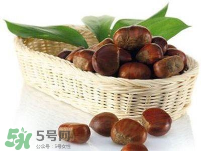 板栗酒能治療腎陽虛嗎？板栗泡酒真的能壯陽嗎？