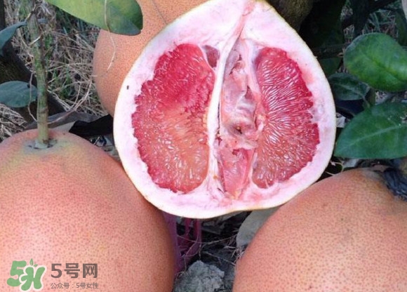 三紅蜜柚口味怎么樣？三紅蜜柚苗多少錢一棵