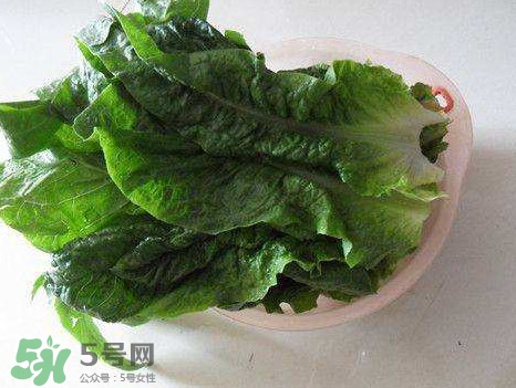 孕婦能吃涼拌萵苣葉嗎？萵苣葉煮水可以治蕁麻疹嗎