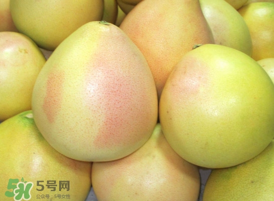 三紅蜜柚什么時候種植？三紅蜜柚什么時候成熟