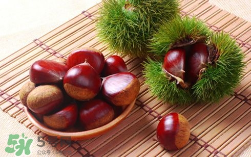 板栗酒能治療腎陽虛嗎？板栗泡酒真的能壯陽嗎？