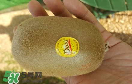 黃心獼猴桃叫什么名字？黃心獼猴桃是什么品種