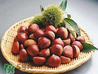 板栗酒能治療腎陽虛嗎？板栗泡酒真的能壯陽嗎？