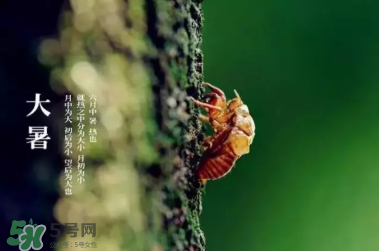 三伏天怎樣飲食？三伏天不宜做哪些事？