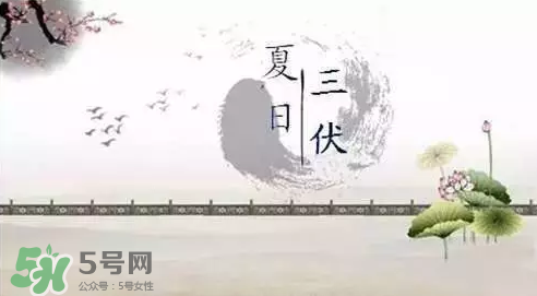 三伏天練什么？三伏天具體怎么養(yǎng)生？