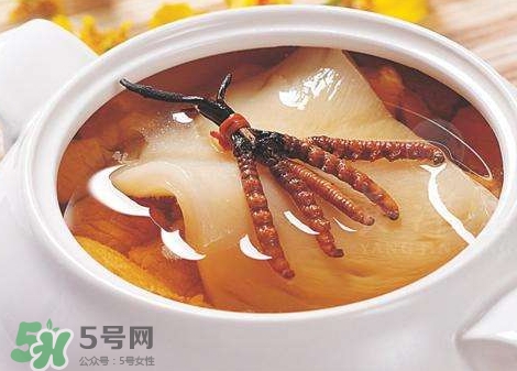 花膠能天天吃嗎？花膠一天吃多少克？