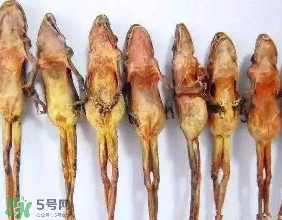 雪蛤干多少錢一斤？雪蛤干怎么吃？