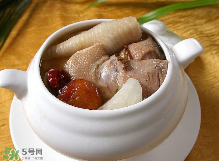 花膠可以放多久？花膠可以放冰箱嗎？