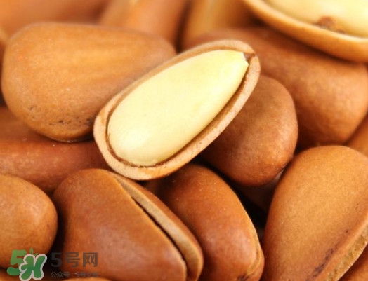 松籽多少錢一斤？松籽怎么炒能開口