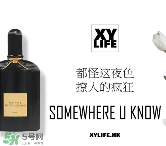 tom ford午夜蘭花香水多少錢？午夜蘭花香水專柜價格