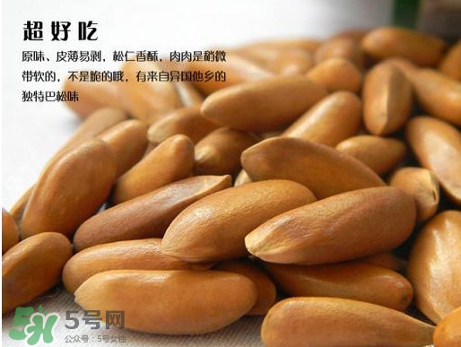 松籽可以生吃嗎？松籽怎么儲藏保存