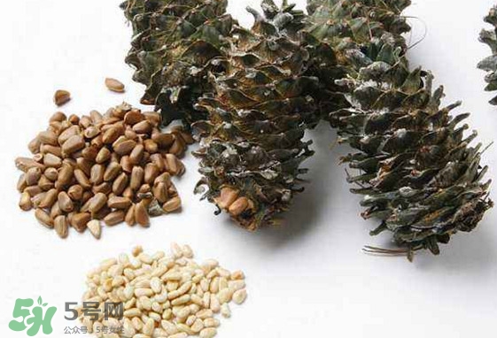 松子是松樹的果實嗎？松子是酸性還是堿性