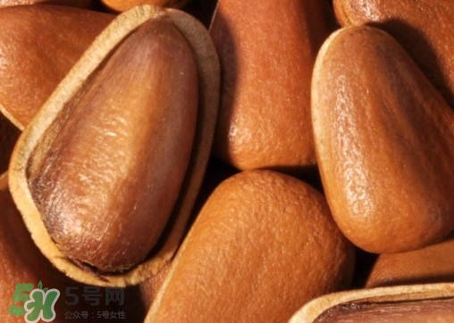 松籽什么季節(jié)采摘？吃松籽有什么好處？