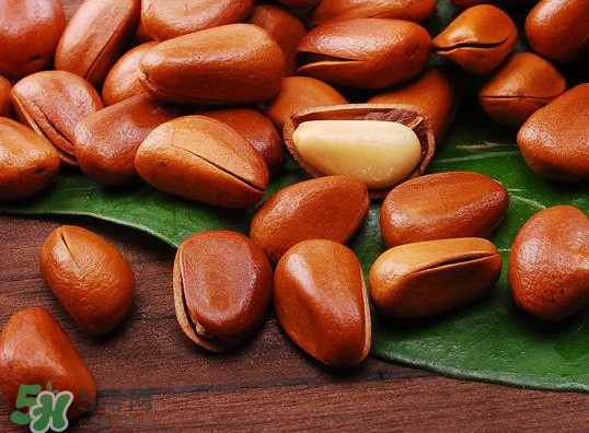 松籽可以生吃嗎？松籽怎么儲藏保存