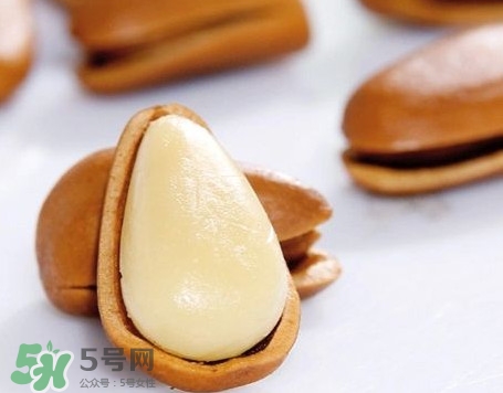 松子是松樹的果實嗎？松子是酸性還是堿性
