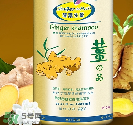 琴葉洗發(fā)水是哪國的？琴葉洗發(fā)水是幾線品牌