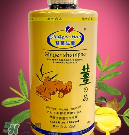 琴葉洗發(fā)水是哪國的？琴葉洗發(fā)水是幾線品牌