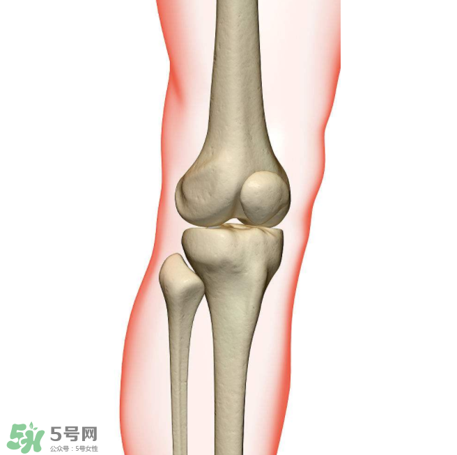 風(fēng)濕不治療可以治愈嗎？早期風(fēng)濕能自愈嗎？