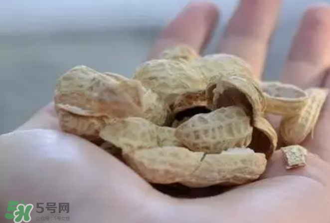 花生發(fā)芽后營(yíng)養(yǎng)如何？花生殼煮水喝有什么用？