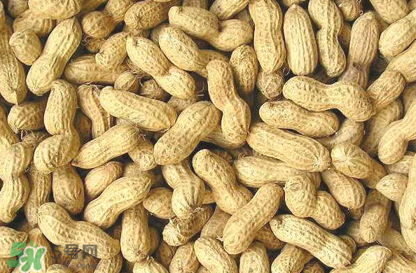 花生能減肥嗎？食用花生的注意事項