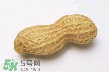 花生有哪些種類型？花生怎么栽培管理？