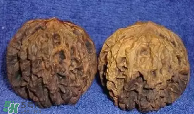 核桃上的陰皮是什么？核桃對(duì)血管的作用