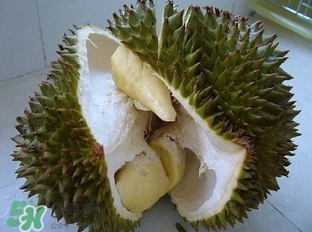 榴蓮和雞蛋能一起吃嗎？榴蓮和什么不能一起吃？