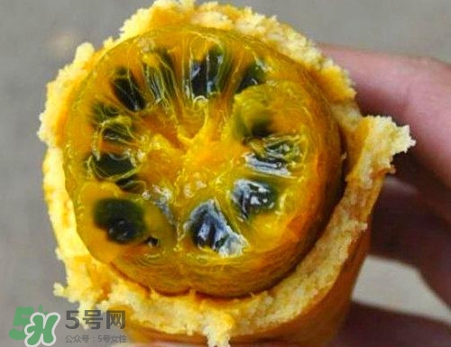 八月炸適合哪里種植？八月炸作用和功效是什么