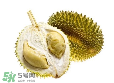 榴蓮籽能種嗎？榴蓮籽怎么種小盆栽？