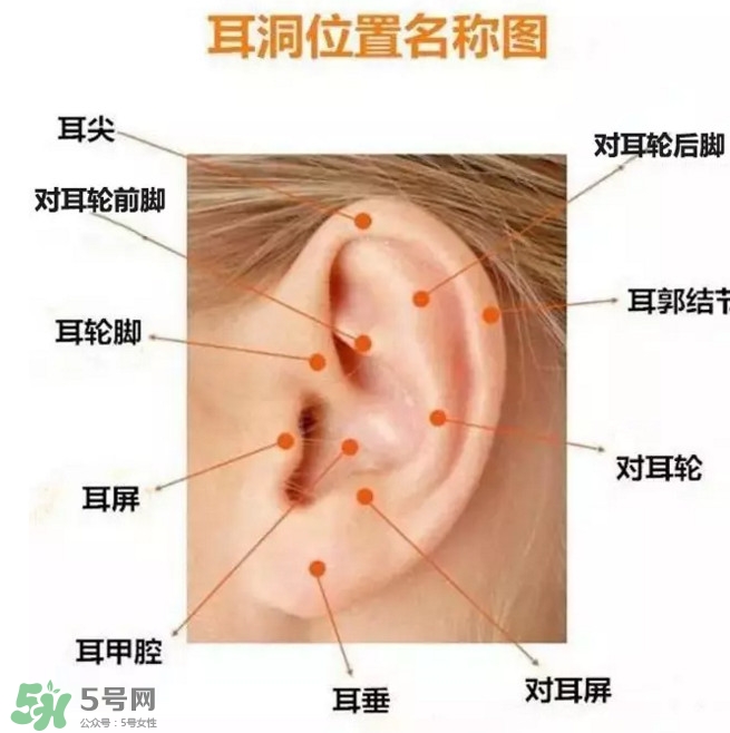 打耳洞多少錢一對？打耳洞相當于什么疼