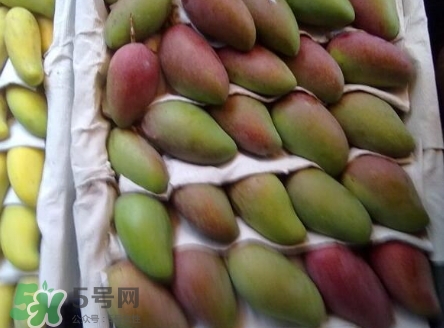 芒果有哪些品種？哪種芒果最好吃？