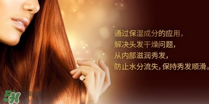 indefinie是什么牌子？indefinie洗發(fā)水怎么樣？