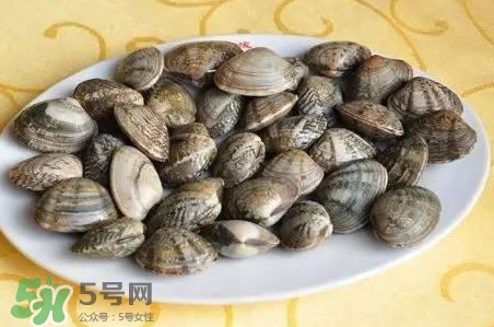 蛤蜊和花甲一樣嗎？蛤蜊和花甲的區(qū)別