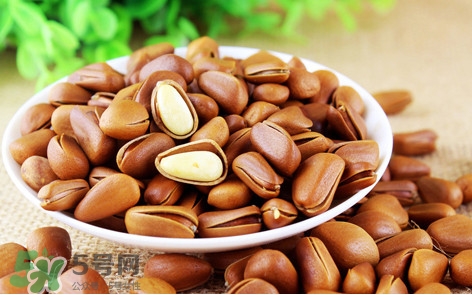 松子什么時(shí)候成熟？松子什么時(shí)候吃最好