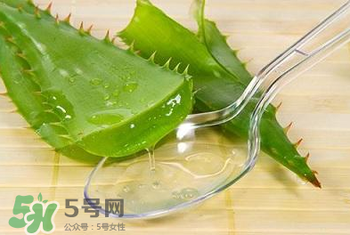 新鮮的蘆薈怎么吃？蘆薈的多種吃法