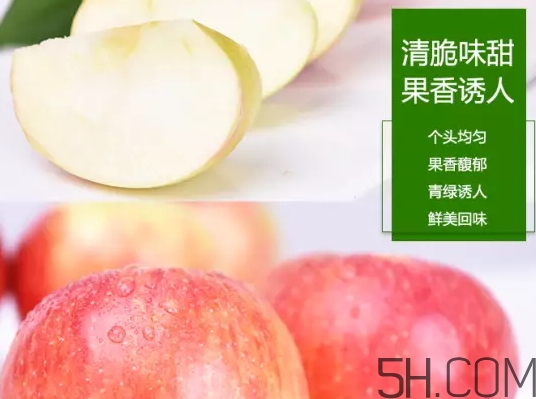 美八蘋果價格多少錢？美八蘋果多少錢一斤？